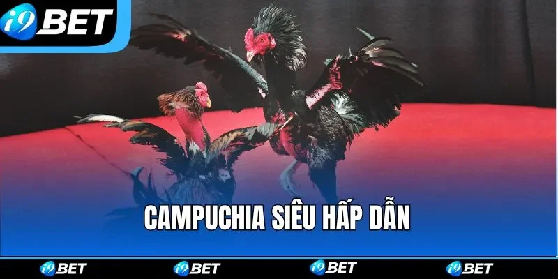 Đá Gà i9bet – Sân Chơi Chọi Kê Online Gay Cấn Bậc Nhất 2026