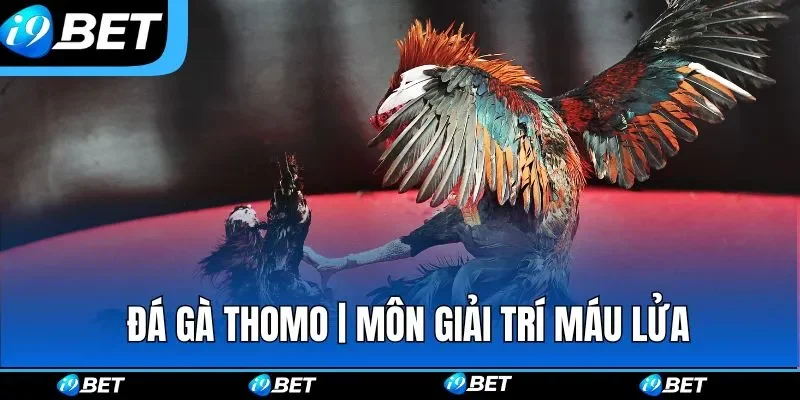 Đá Gà i9bet – Sân Chơi Chọi Kê Online Gay Cấn Bậc Nhất 2026