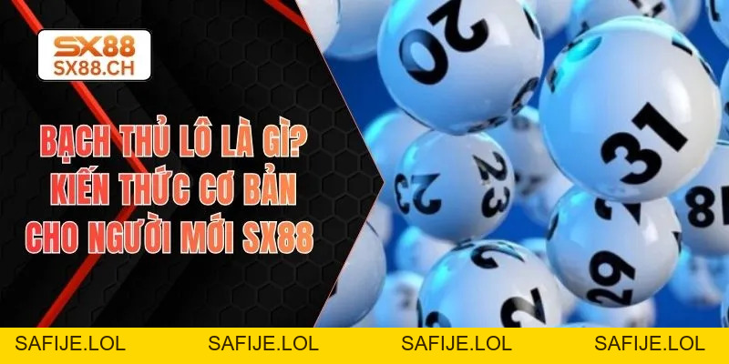 Bạch Thủ Lô Là Gì? Kiến Thức Cơ Bản Cho Người Mới SX88