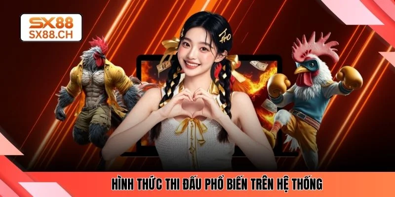 Đá Gà SX88 - Top 4 Điểm Nổi Bật Cho Anh Em Cược Thủ